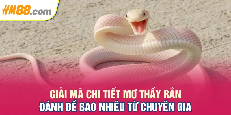 giải mã chi tiết mơ thấy rắn đánh đề bao nhiêu từ chuyên gia giải mã chi tiết mơ thấy rắn đánh đề bao nhiêu từ chuyên gia