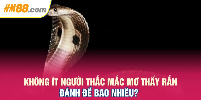 không ít người thắc mắc mơ thấy rắn đánh đề bao nhiêu không ít người thắc mắc mơ thấy rắn đánh đề bao nhiêu